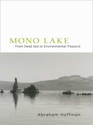 cover image of Mono Lake